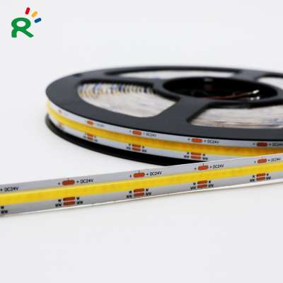 RAYMATES CCT Dual Color 608leds/m DC24V Warm White+Cold White COB LED Strip High Quality